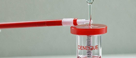 Recién se empezaría a vacunar contra el Dengue: Un paso essential en la lucha contra un enemigo letal